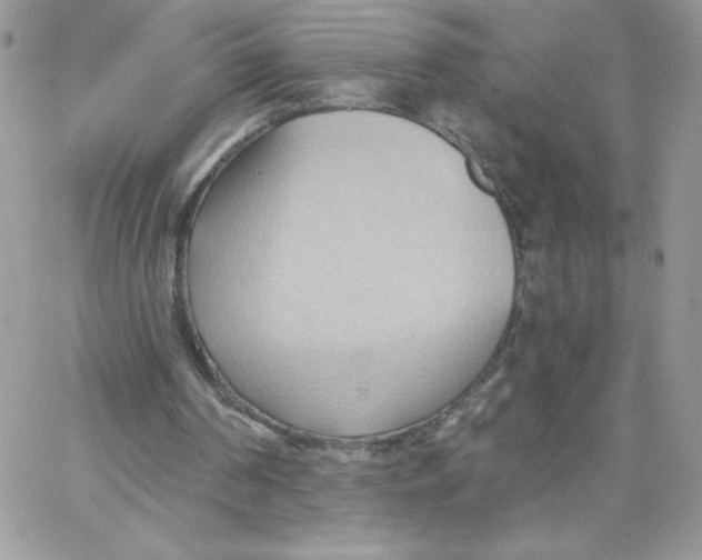 X0000062890194200602031815