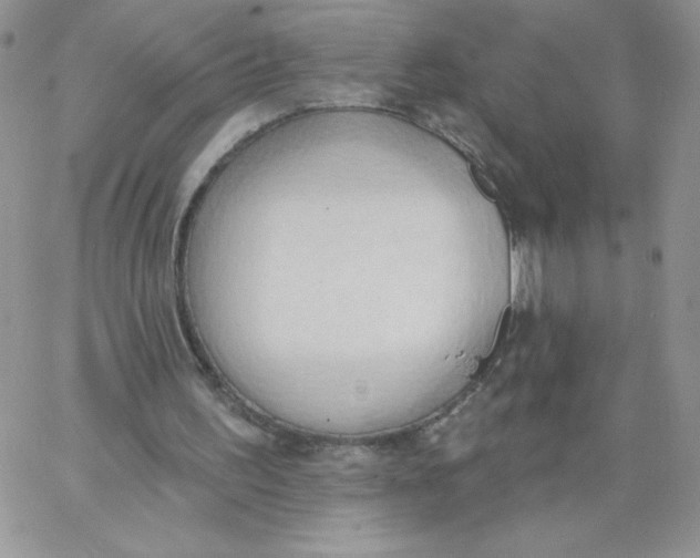 X0000062890195200602031815