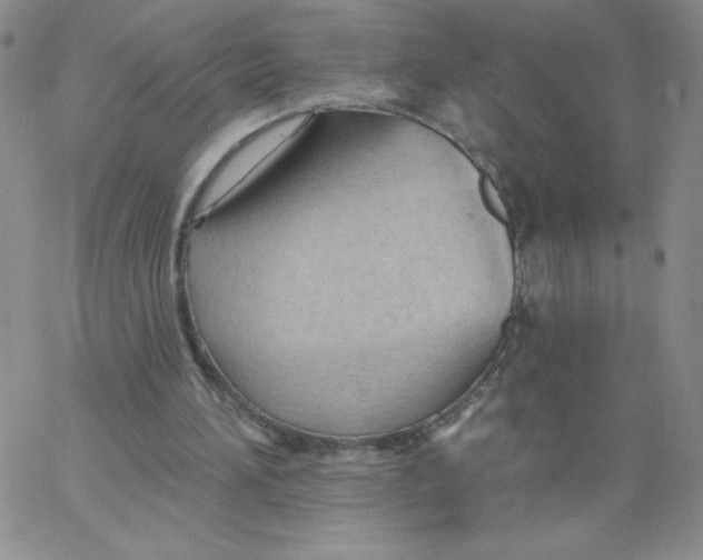 X0000062890196200602031815