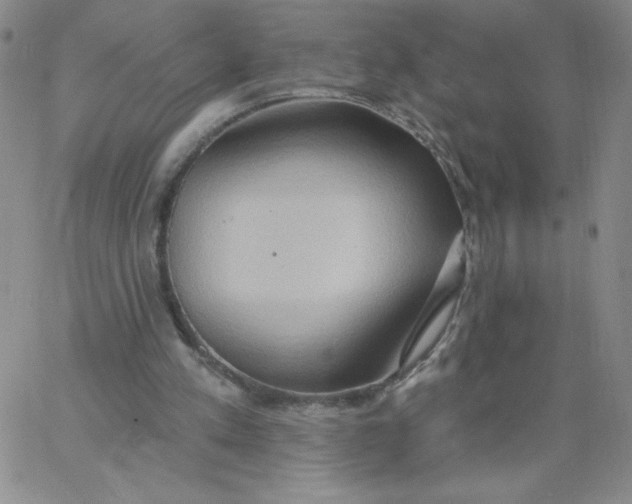 X0000062890197200602031815