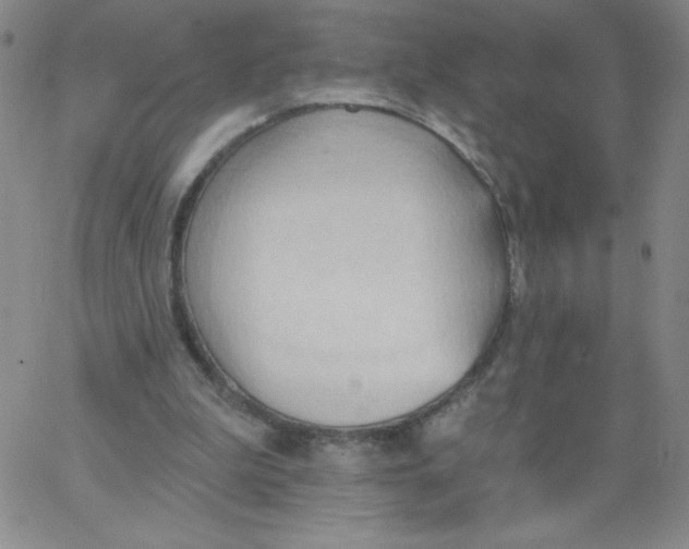 X0000062890199200602031815