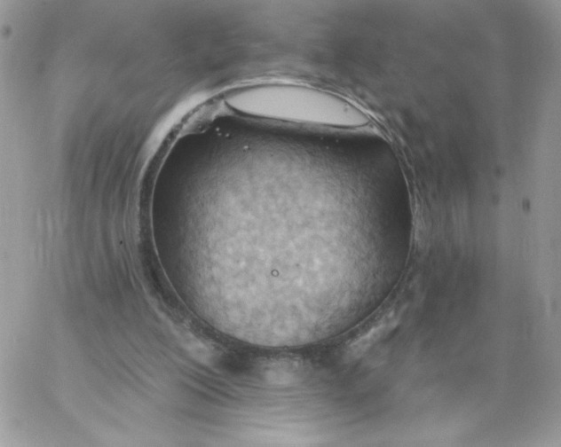 X0000062890200200602031815