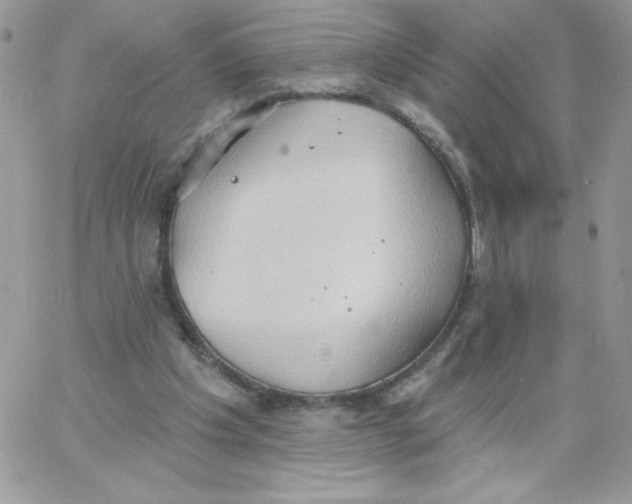 X0000062890201200602031815