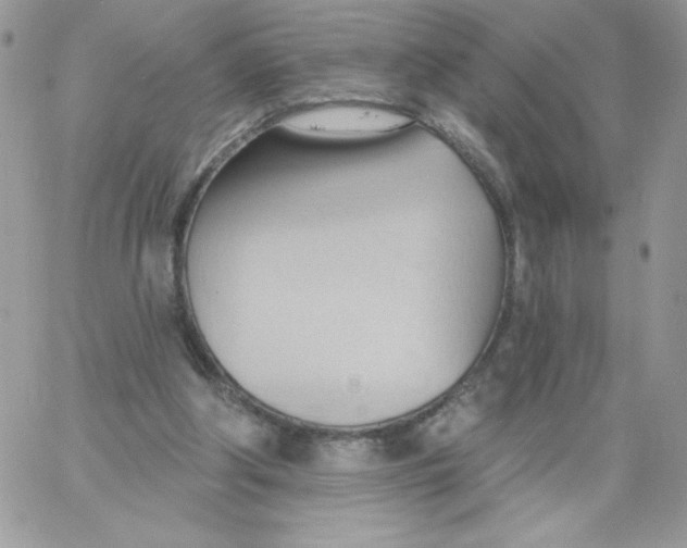 X0000062890202200602031815