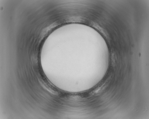 X0000062890203200602031815