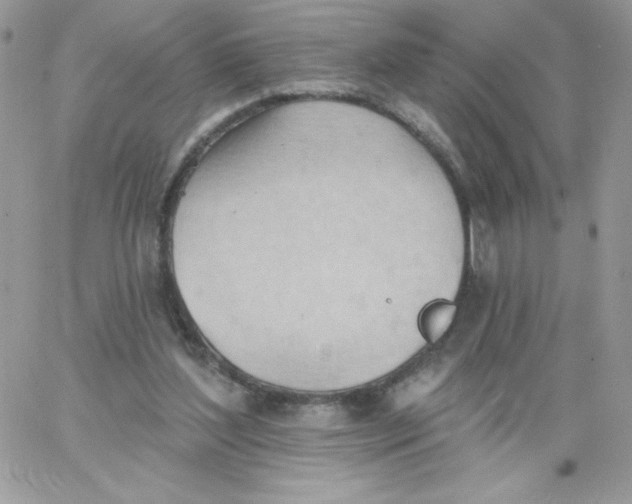 X0000062890204200602031815