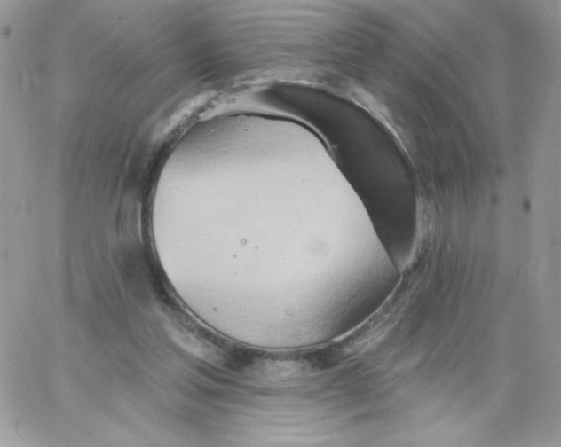 X0000062890205200602031815