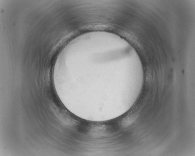 X0000062890206200602031815