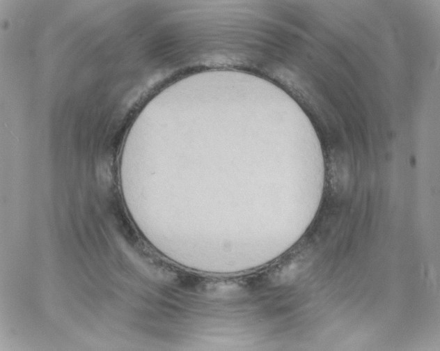 X0000062890208200602031815