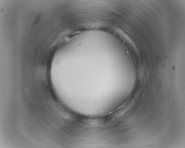 X0000062890209200602031815