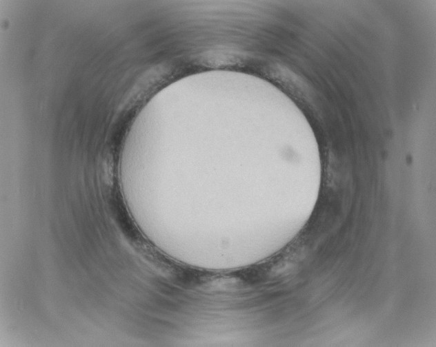 X0000062890210200602031815