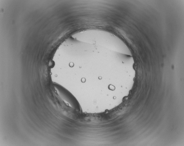 X0000062890211200602031815