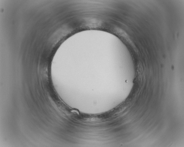 X0000062890212200602031815