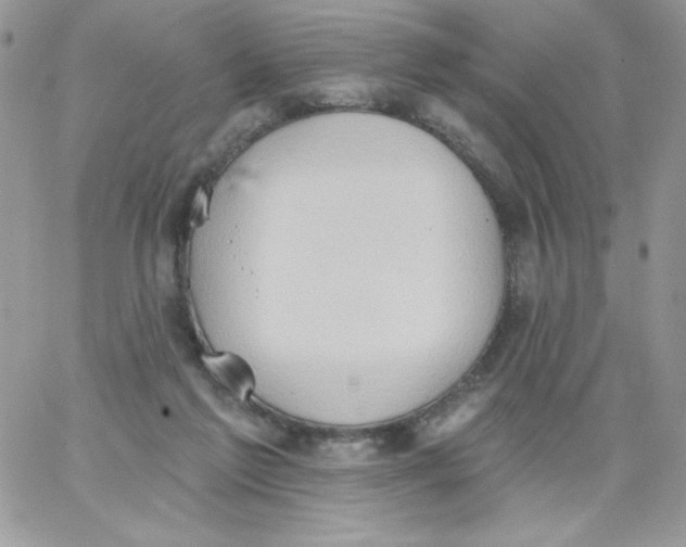 X0000062890213200602031815