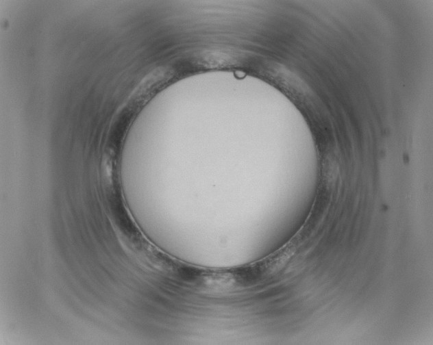 X0000062890214200602031815