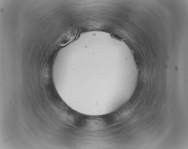 X0000062890215200602031815