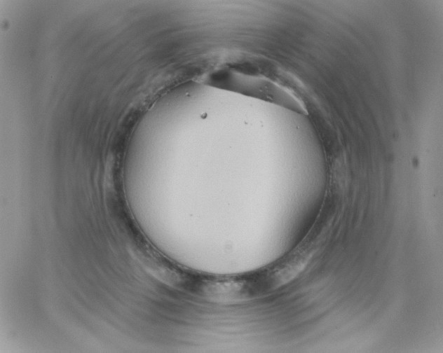 X0000062890217200602031815