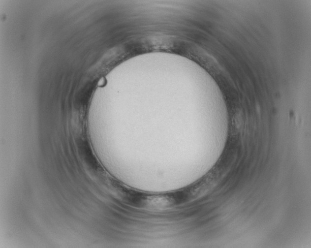 X0000062890218200602031815