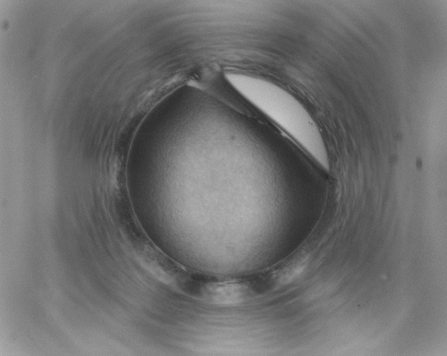 X0000062890219200602031815