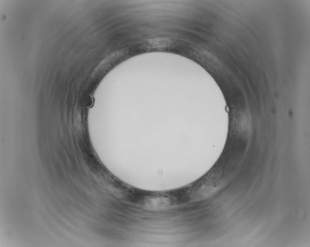 X0000062890220200602031815