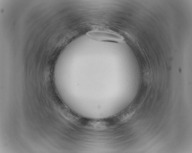 X0000062890221200602031815