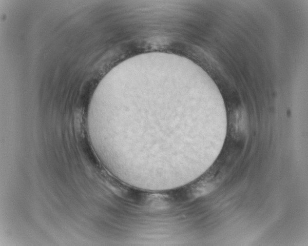 X0000062890222200602031815