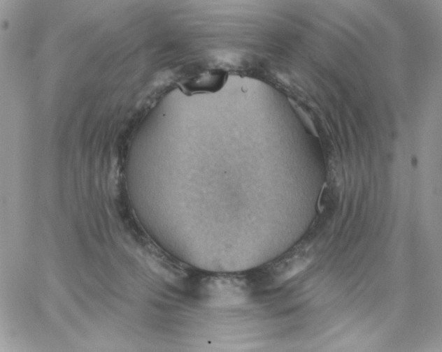 X0000062890223200602031815