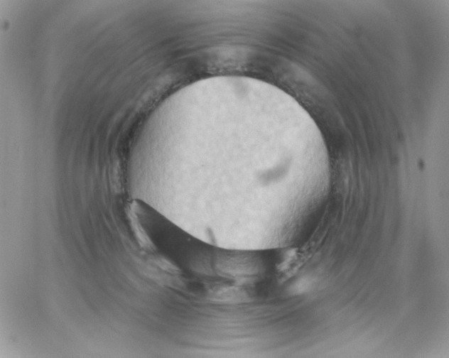 X0000062890224200602031815