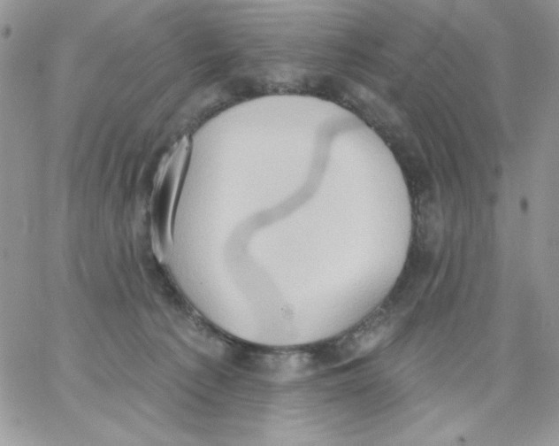 X0000062890225200602031815