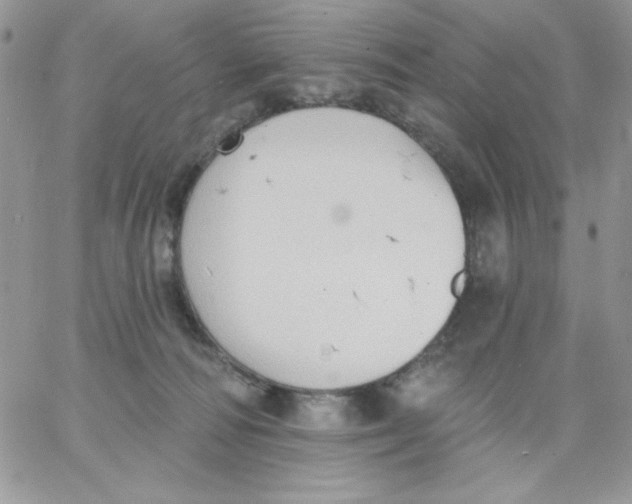 X0000062890226200602031815