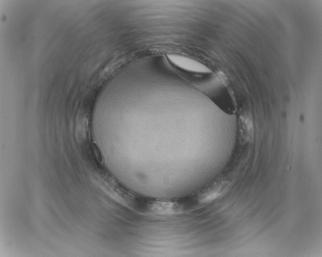 X0000062890227200602031815