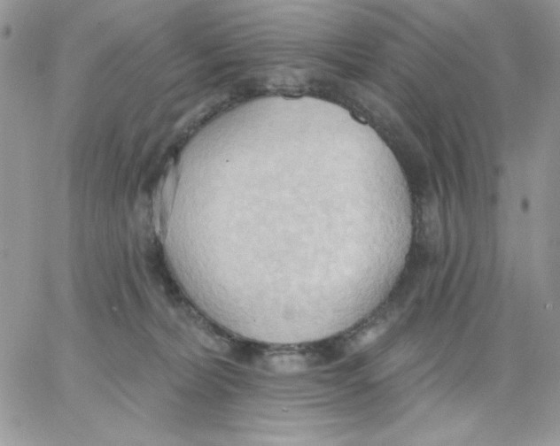 X0000062890228200602031815