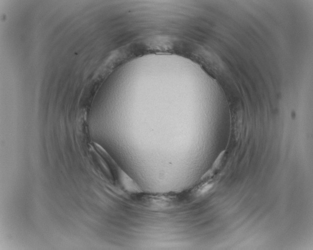 X0000062890229200602031815