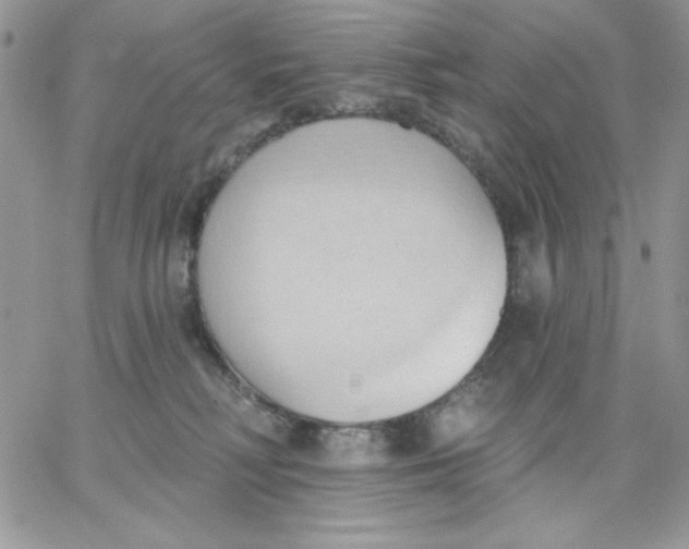 X0000062890230200602031815