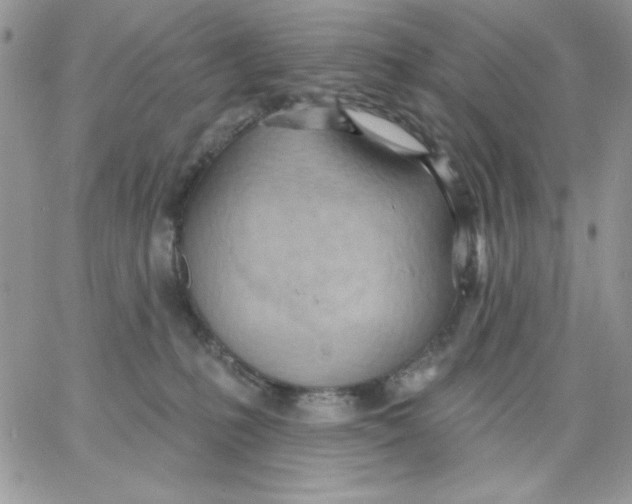 X0000062890231200602031815