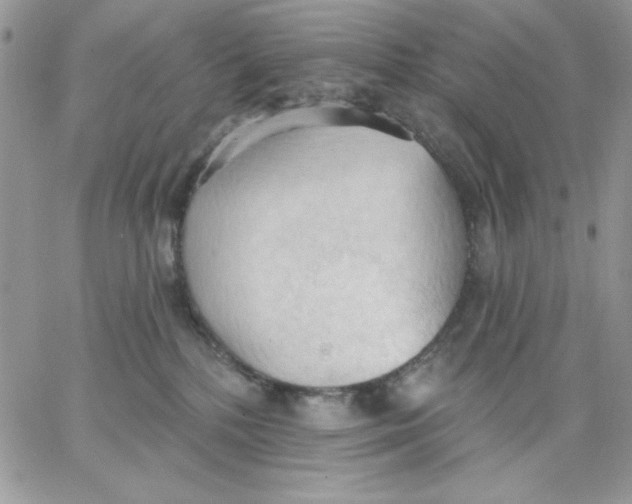 X0000062890232200602031815