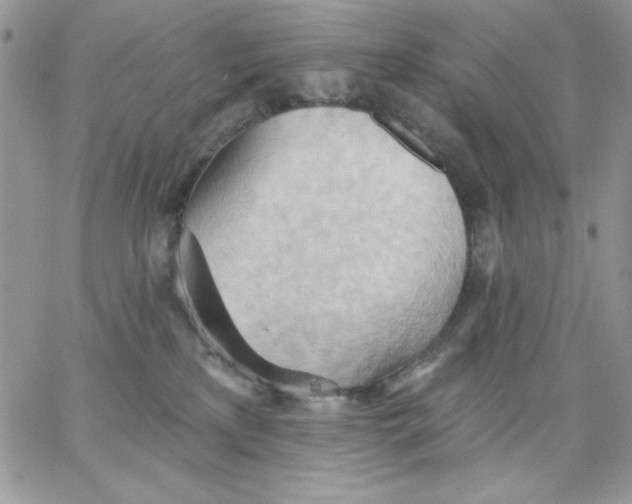 X0000062890233200602031815