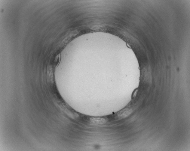 X0000062890234200602031815