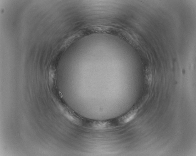 X0000062890235200602031815