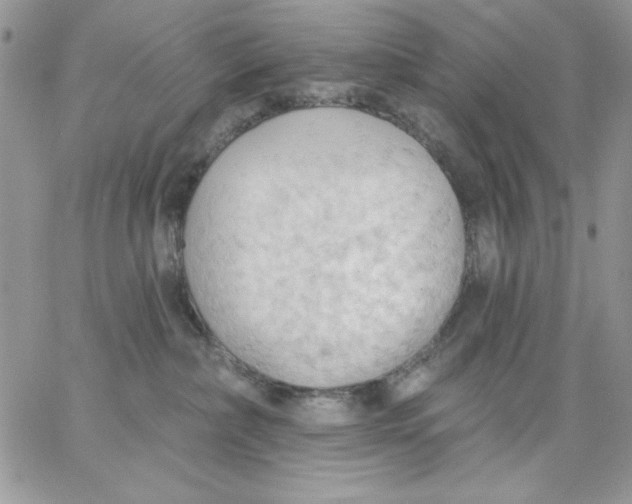 X0000062890236200602031815