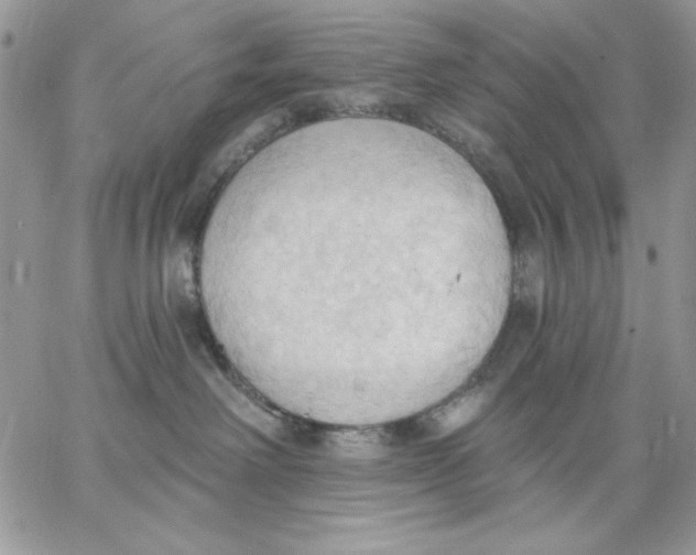 X0000062890238200602031815