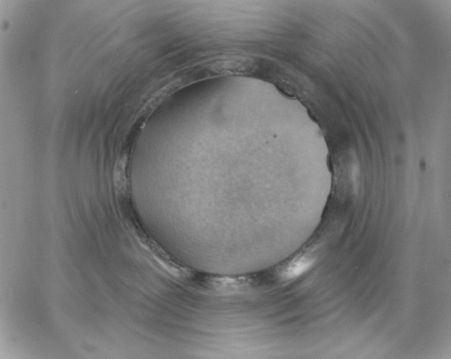 X0000062890239200602031815