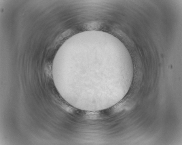 X0000062890240200602031815