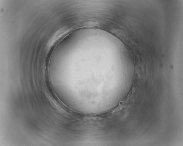 X0000062890242200602031814