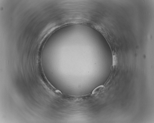 X0000062890243200602031814