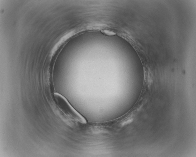 X0000062890244200602031814