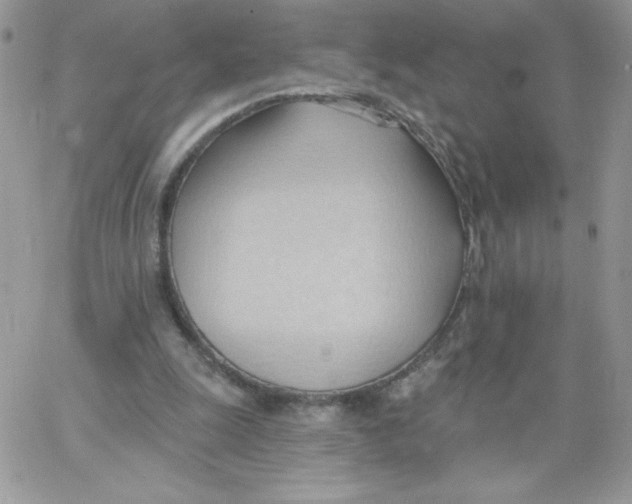 X0000062890247200602031814