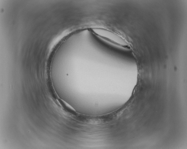 X0000062890248200602031814