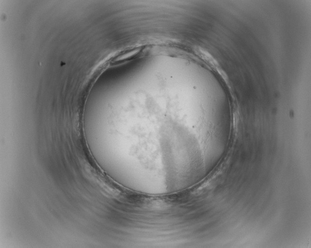 X0000062890249200602031814