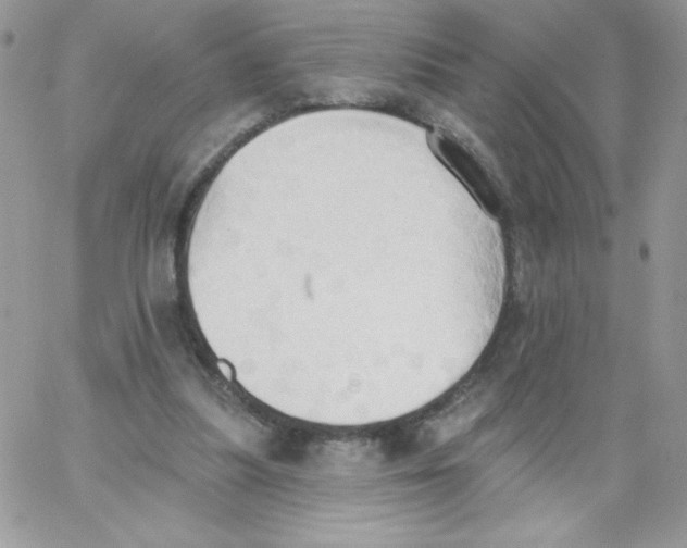 X0000062890251200602031814